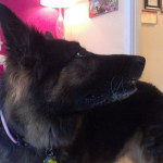 Juno realizes her mom has treats